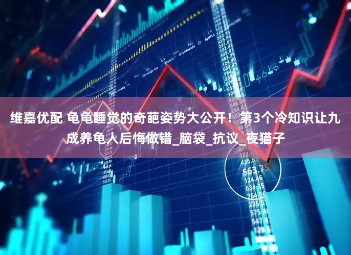 维嘉优配 龟龟睡觉的奇葩姿势大公开！第3个冷知识让九成养龟人后悔做错_脑袋_抗议_夜猫子