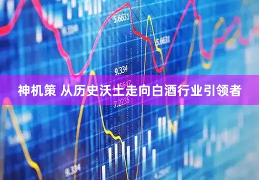 神机策 从历史沃土走向白酒行业引领者